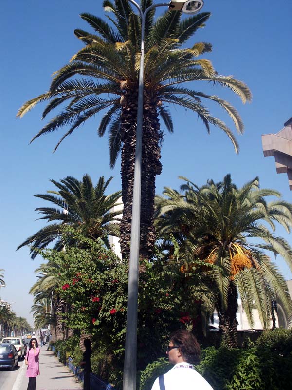 jour 4 PICT0020